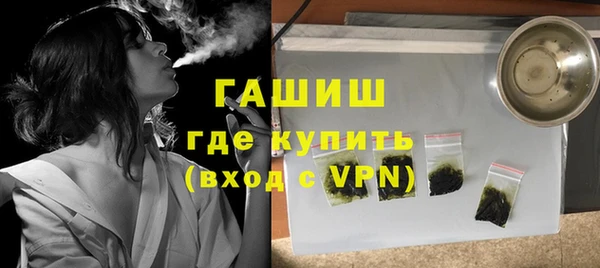 стаф Алзамай
