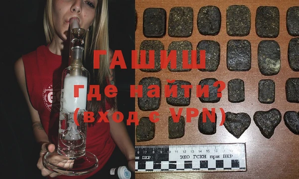 стаф Алзамай