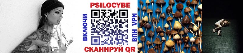 Псилоцибиновые грибы Magic Shrooms  Камышин 
